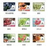 XIAOKE煙彈 梟客五代霧化彈 適用Relx主機四五六代